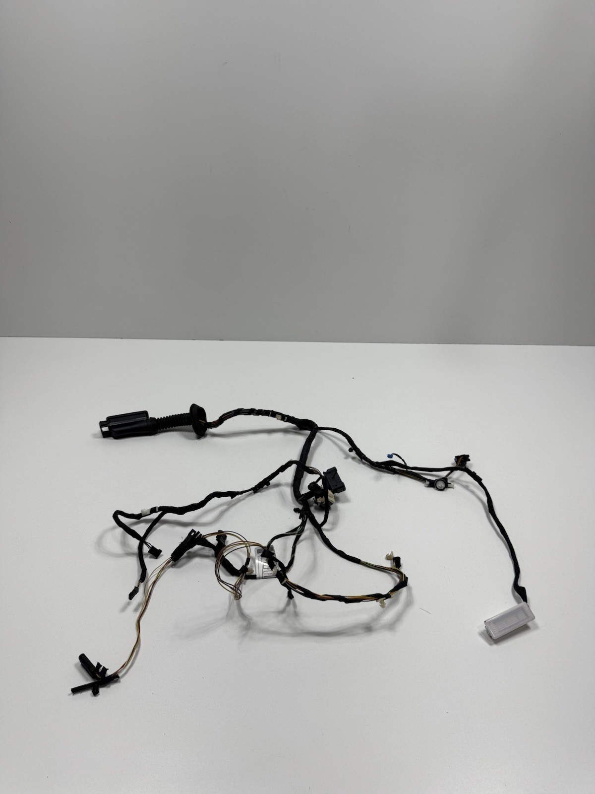 Foto 1 di 12