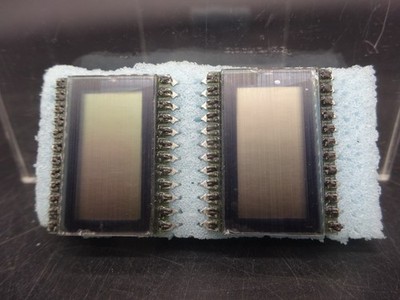 Lot of 2, 24 Pin LCD Digit Displays Through Hole 0.1'' Pitch, 11/16 x 1 - 3/16