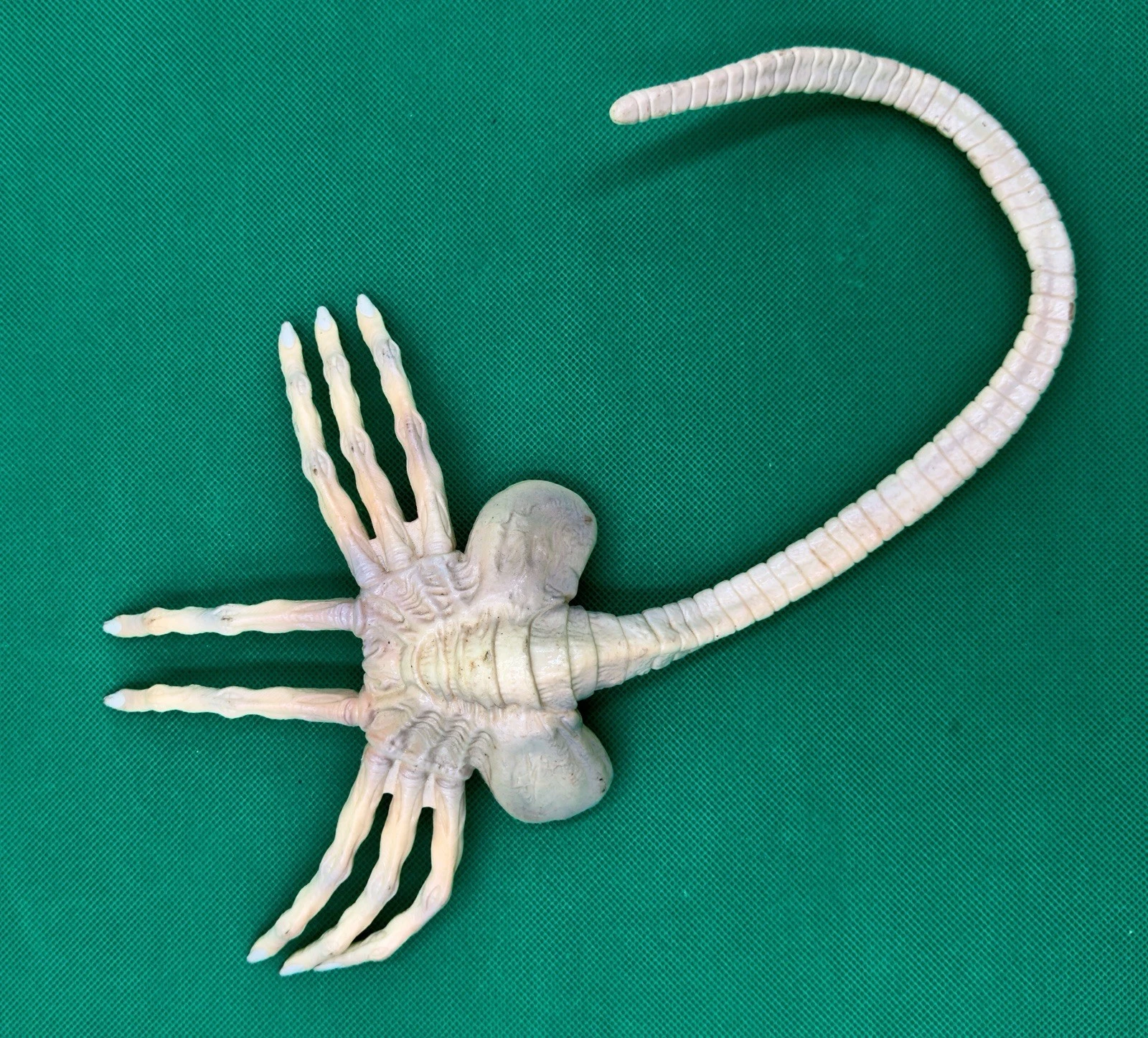 Alien Resurrection Facehugger photo 3