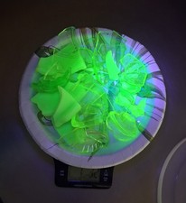 Uranium Glass pieces collected from the desert in Phoenix for arts and crafts