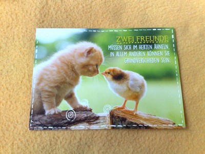 Postcard Blank Funny Saying Two Friends