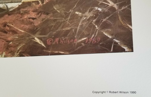 BAUTISMO DE FUEGO por Robert Wilson - Impresión firmada y numerada EDICIÓN LIMITADA - Imagen 3 de 4