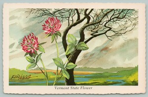 Vermont-State-Flower-Red-Clover-by-Black-Silhouette-Tree-1973-Artist-Ken-Haag