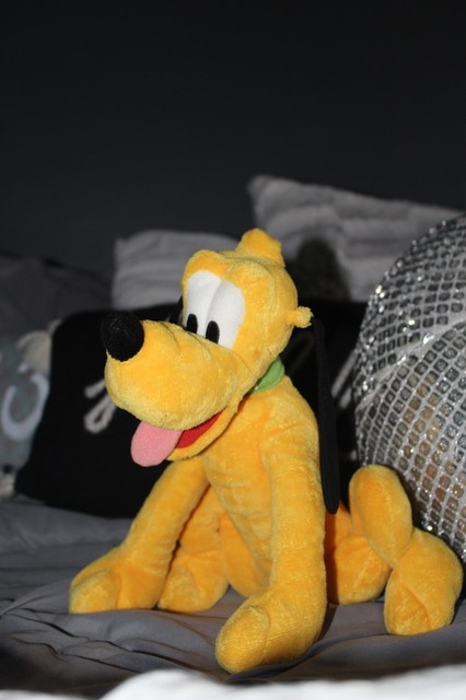 Disney 12