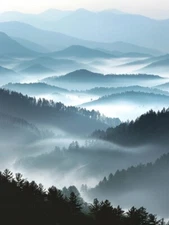 Canvas or Custom Print Pictures for Wall with or without Custom Word Frame 