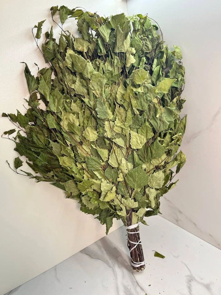 12 Birch brooms NEW SEASON 2025 sauna banya venik Eiche whisks eco Ukrainian - Image 4 of 4