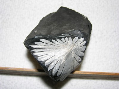 Chrysanthemum Stone with natural calcite crystal flower, China M78