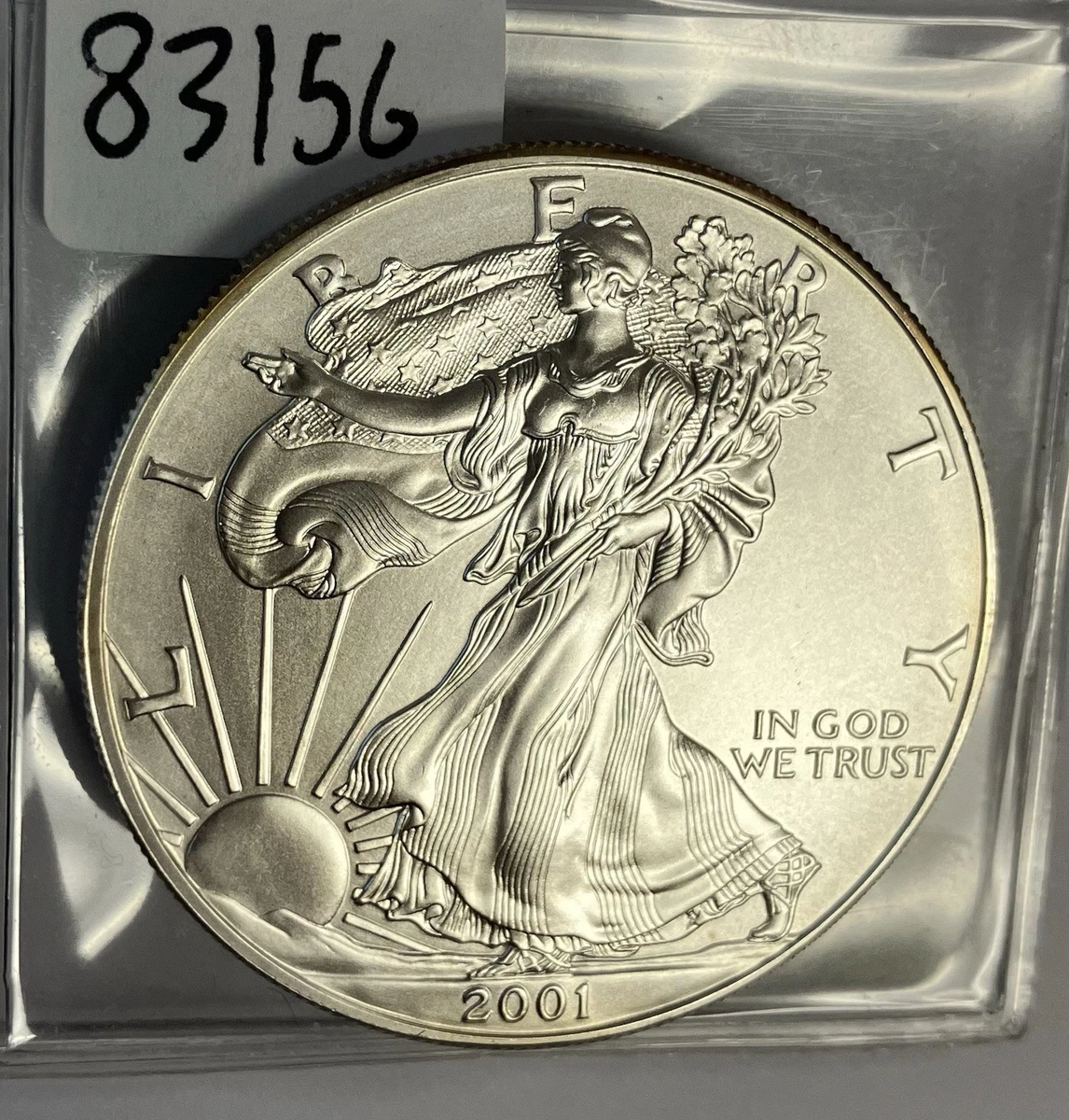 American Eagle 2001 Business Silver Bullion Coins for sale | eBay