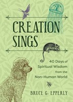 Bruce G Epperly | Creation Sings | Taschenbuch | Englisch (2025)
