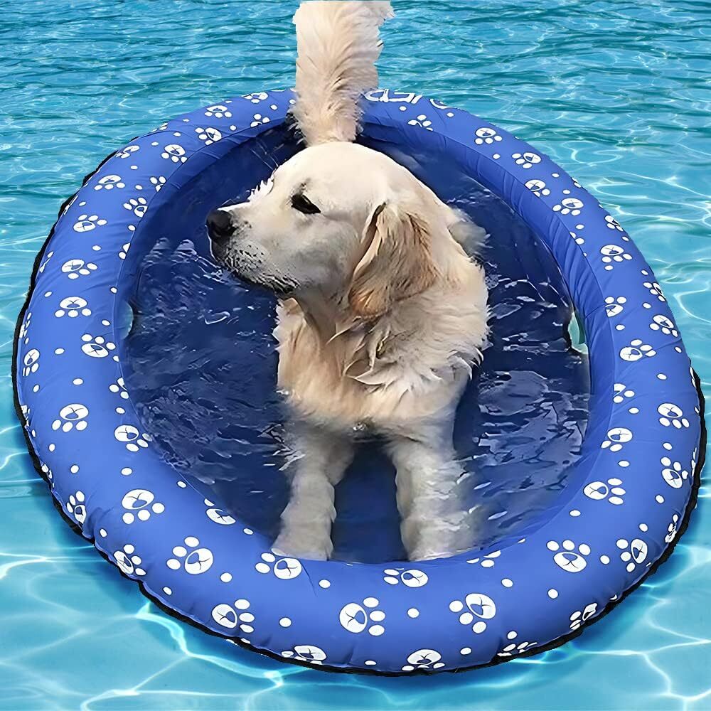 Diy Pool Noodle Floating Device For Dogs Foam Noodle Pool Noodles