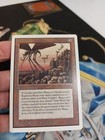 Picture 5 of 6