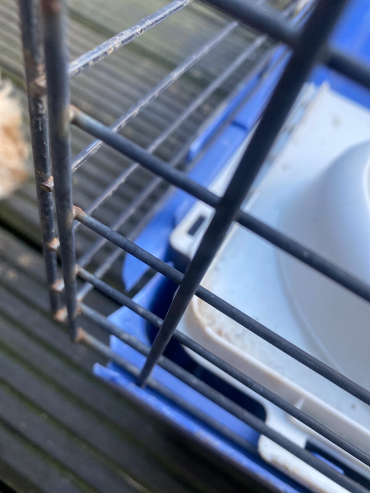 Indoor Rabbit Cage eBay