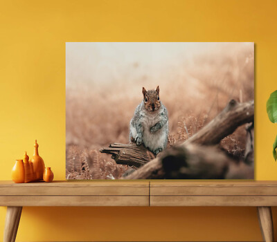 Cute Squirrel in Forest 5mm thick Plastic Poster Ready to Hang 60x45cm