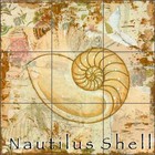 Ceramic Tile Mural Backsplash McKenna Sea Life Nautilus Shell Art CCI-BRI256