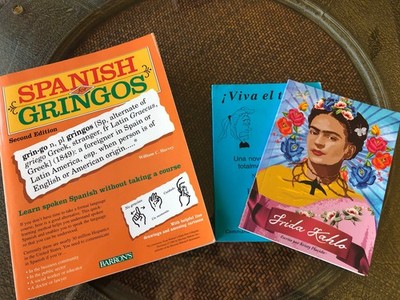 Lot Spanish Books~For Beginners~Spanish For Gringos~Frida Kahlo ~Viva El Toro!