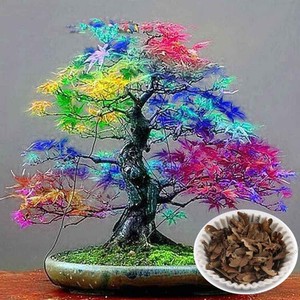 Blue Hydrangea Flower Seeds Garden Yard Plants Bonsai Potted Rare Seeds WST 01