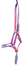 Cowboy Courage Multi-Color Large Nylon Halter and Matching 7' Lead Line