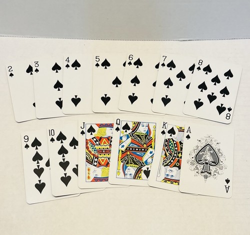 Baraja de cartas de recuerdo de gaviotas de Maine de colección Down-East Crafts - Imagen 7 de 16