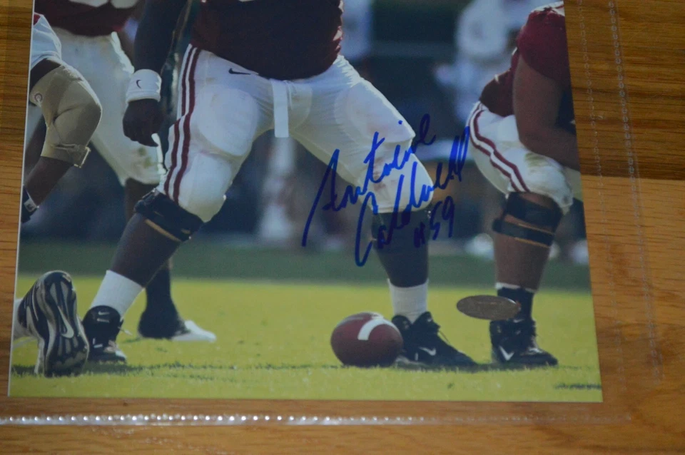Antoine Caldwell #59 Signed Alabama Crimson Tide 8x10 Photo with Steiner COA - Image 3 of 4