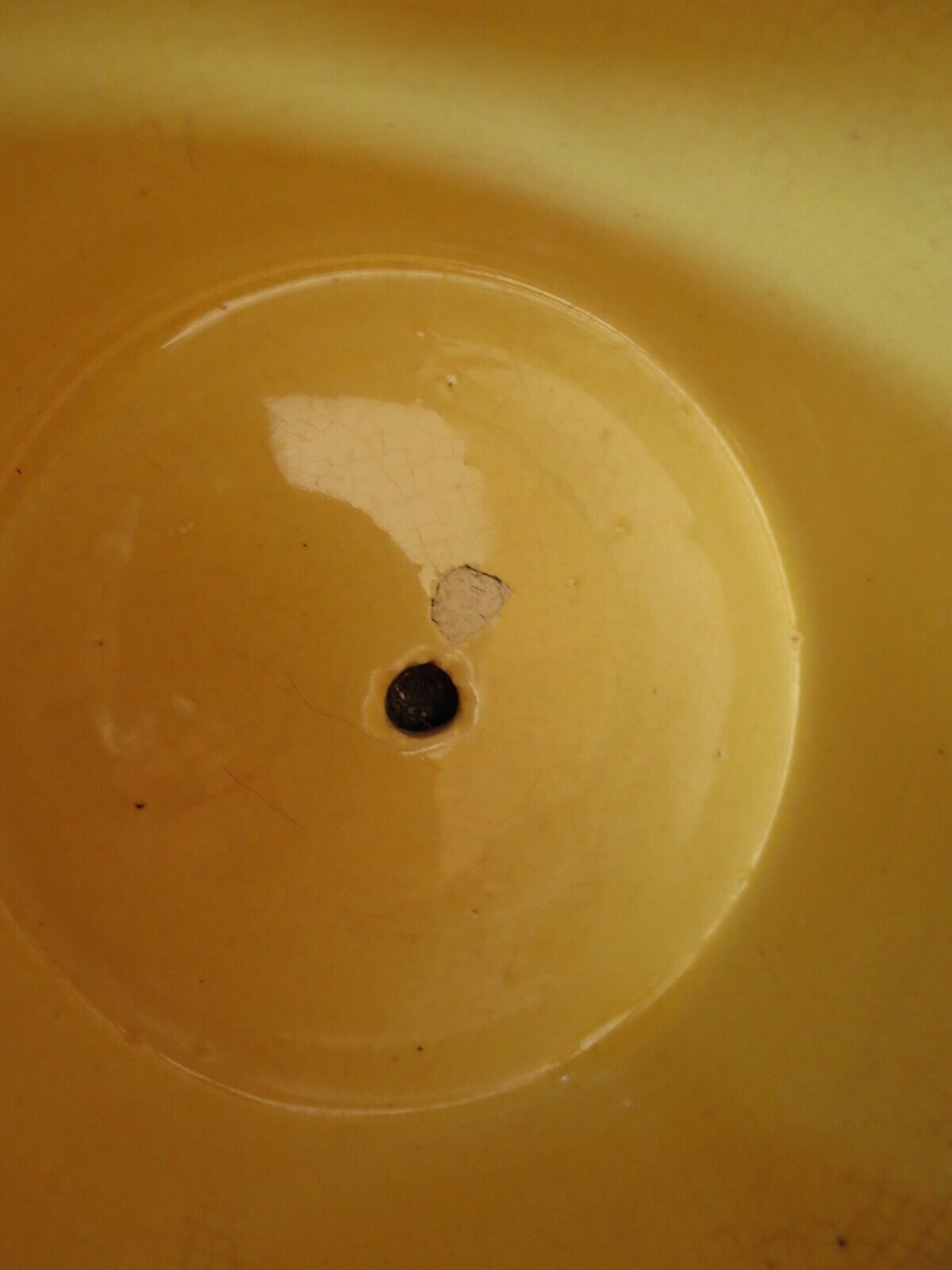 Picture 6 of 12