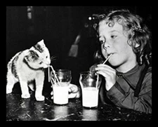 FRAMED Milk Buddies 16x20 Art Print Poster LITTLE GIRL KITTEN MILK STRAWS