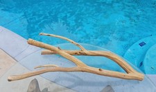Large Driftwood Manzanita Aquascape Terariam Avery Snakes Fish 26" 14" 10"