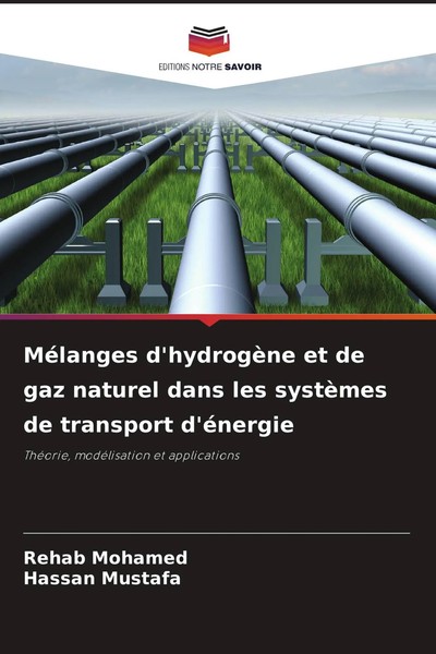 Rehab Mohamed (U. A.) | MéLanges D'hydrogèNe Et De Gaz Naturel Dans Les...-image