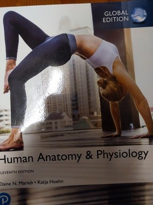 Human Anatomy & Physiology, Global Edition - Marieb, Elaine