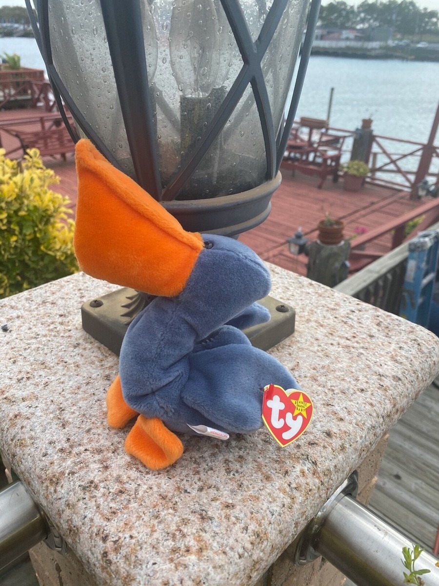 RARE 1996 Scoop (pelican) Beanie Baby MINT CONDITION | eBay