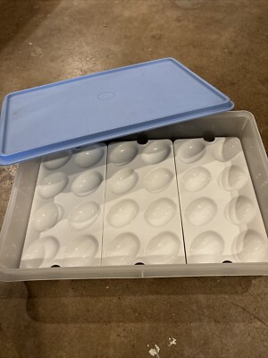 Tupperware Clear 13'' x 9'' Rectangular Food Container w/Blue Lid & Egg Holders