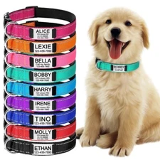 Reflective Nylon Dog Collar Custom Personalized Pet Name ID Tag Adjustable XS-L