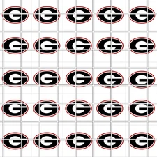 Georgia Bulldogs Waterslide Nail Art Decals Set Of 50 Instructions Bonus JH