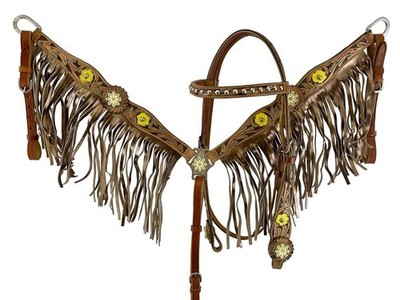 Showman Hand Painted Floral Accent Headstall & Breast Collar Set w/ Fringe