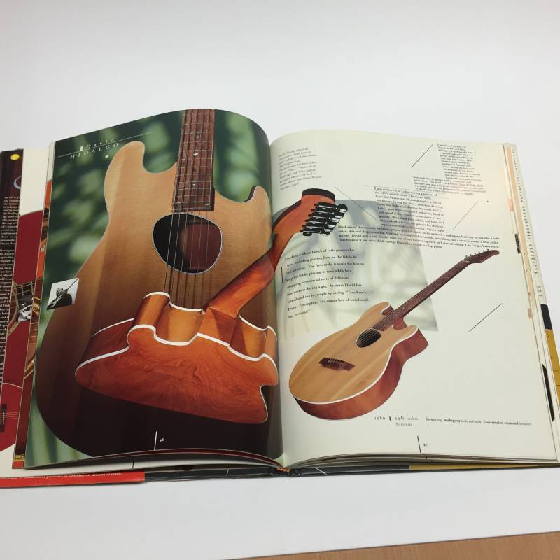 Ferrington Guitars. | eBay.de