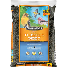 Recipe Selects Thistle Seed, Dry Wild Bird Feed and Seed, 5 lb. Bag, 1 Pack