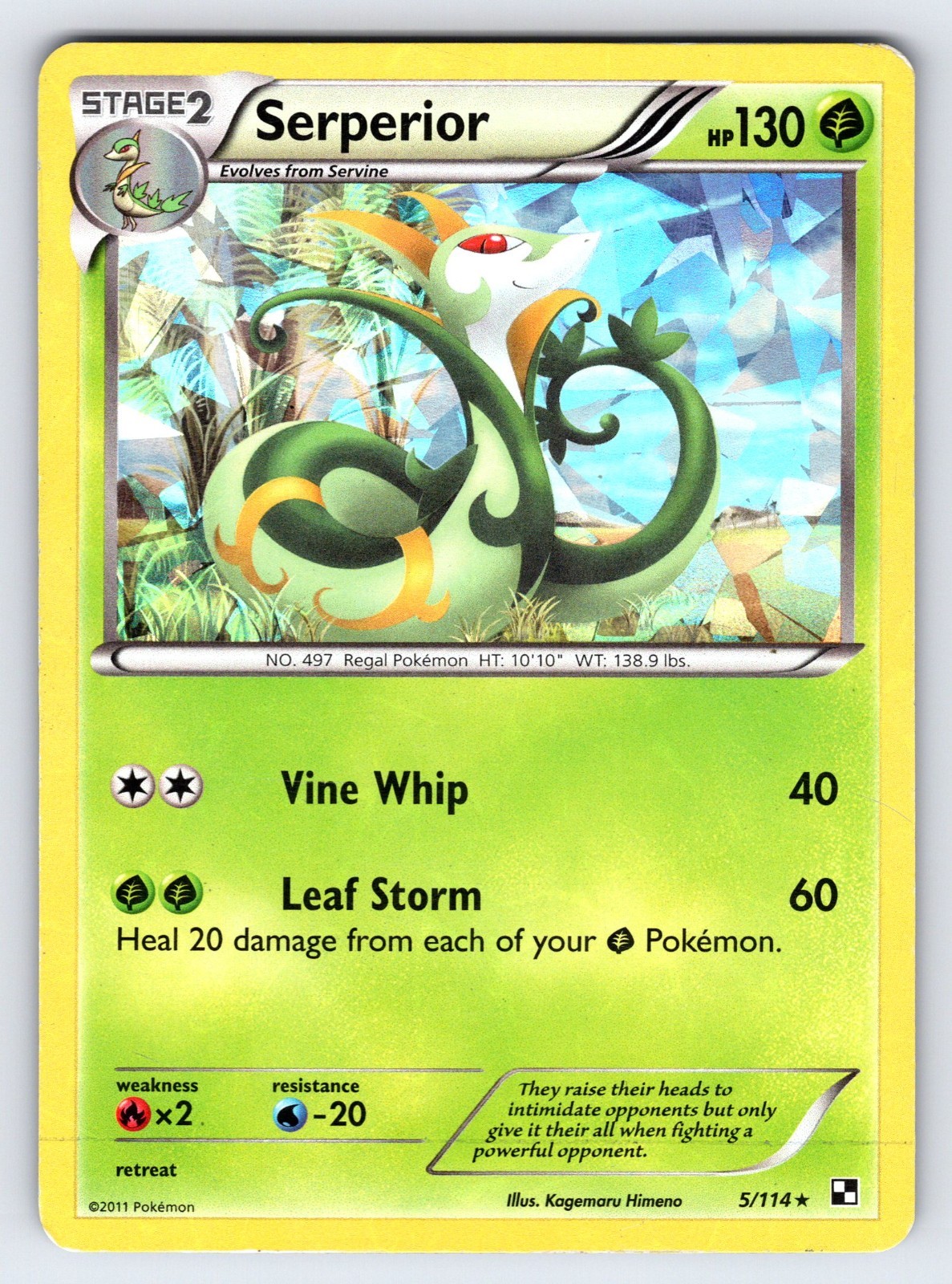 Serperior 5/114 2011 Black & White Base Pokemon Card TCG Cracked Ice Holo - Mp
