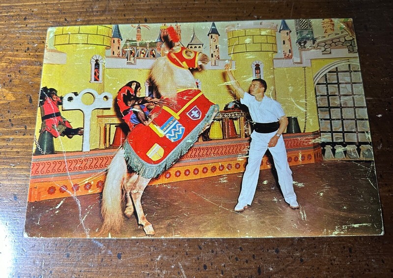 St. Louis Zoo, Chimpanzee on Pony, trainer Mike Kostial, 6 X 9 inch Postcard