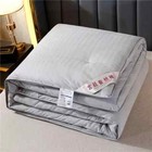 Comforter Summer Winter Quilt Queen Twin Size Chinese Silk Bedding Duvet Insert