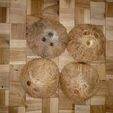 Ceylon Coconut Shell Halves 100% Natural ECO Friendly ORGANIC Bowls