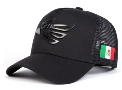 #ad MEXICAN MEXICO Hat Hecho En Mexico Eagle Aguila Embroidery Curved Baseball Cap $15.98
