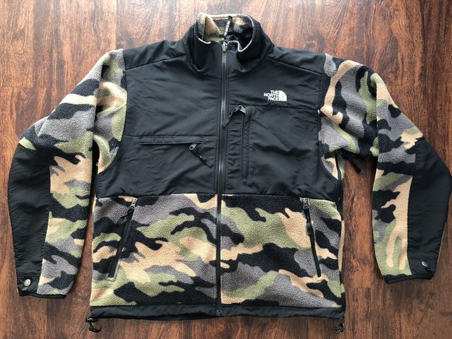 the north face international collection denali 2 jacket
