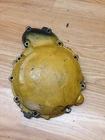 Triumph TT600 2001 Alternator Cover Engine