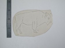 vtg 1960s 70s Tattoo Flash acetate stencil Buffalo Profile AN3