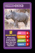 1 x info card Baby Animal Rhinoceros calf ≠ R016