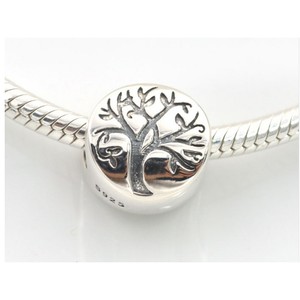 pandora charm 100 pandora charm 100
