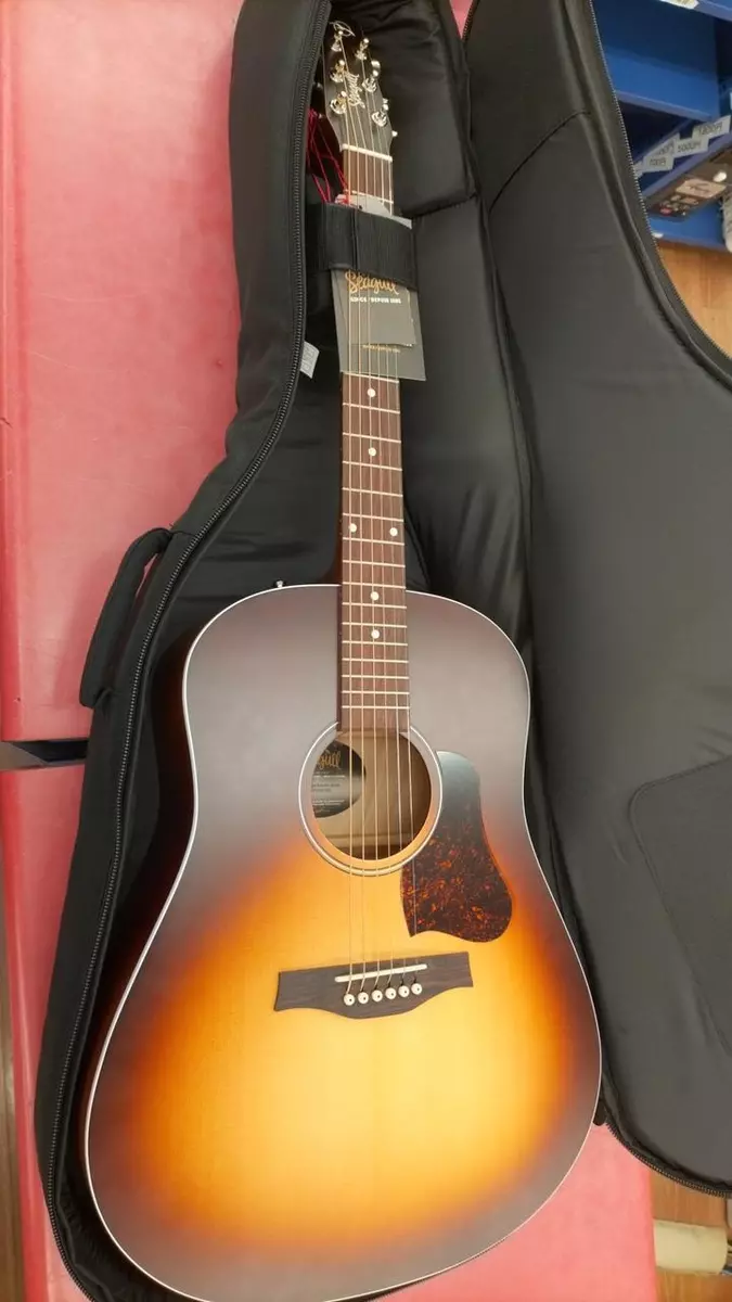 SEAGULL ENTOURAGE AUTUMN BURST Electric Acoustic Guitar eBay
