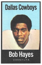 BOB HAYES 1972 NFLPA FABRIC CLOTH IRON ONS 16 DALLAS COWBOYS HOF