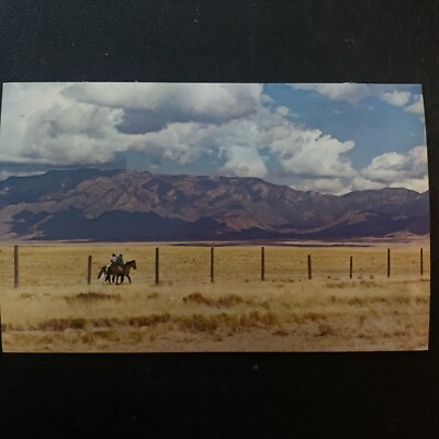 VTG Postcard Range Riders Of Texas Big Bend Country Along The Scenic Rio Grande