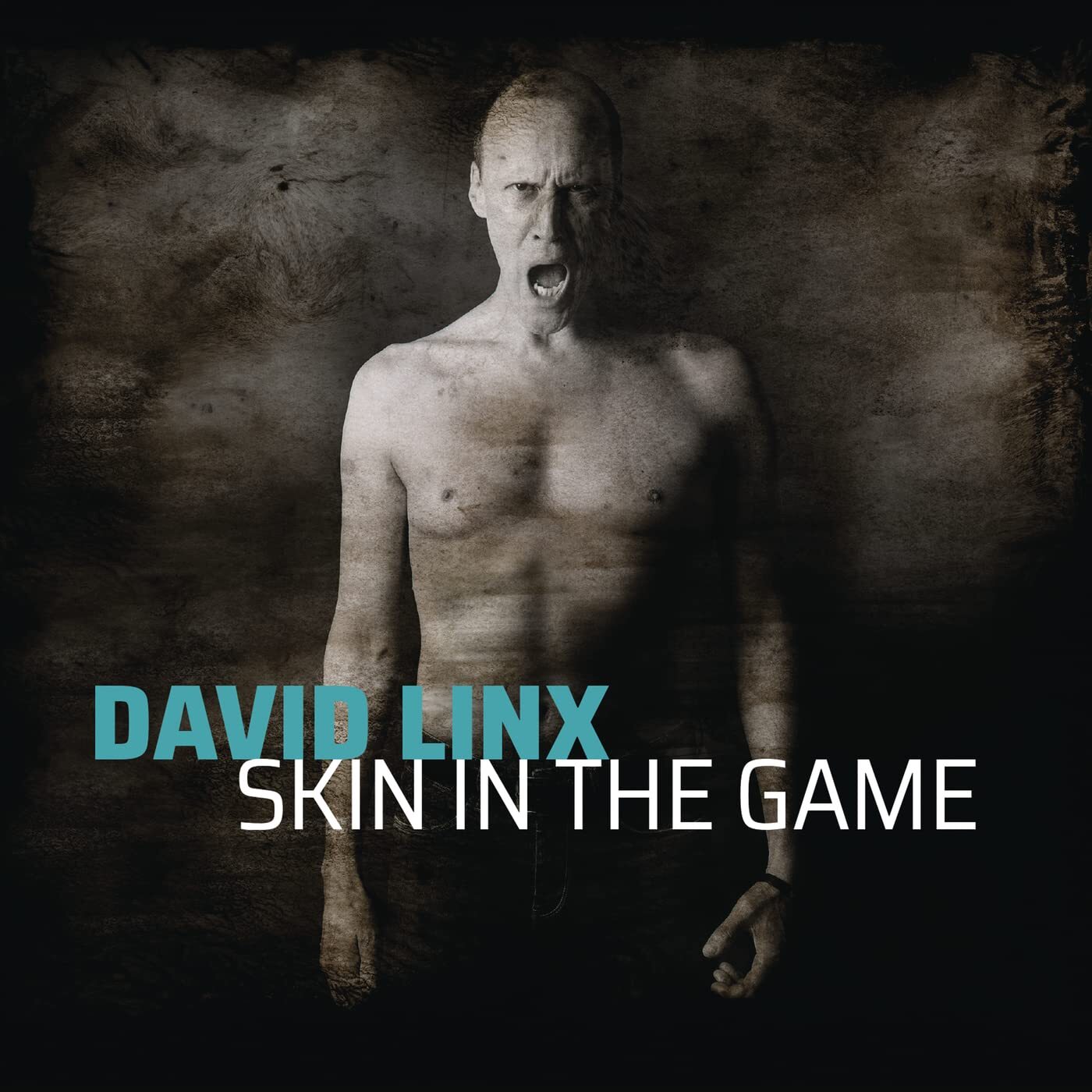 Linx, David Skin in the Game (CD)