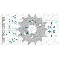 Afam Ritzel #428 13 ZäHne (FüR: Yamaha YBR 125 (Einspritzer) RE051 07-09 )